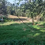 Cascinamirta