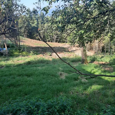 Cascinamirta