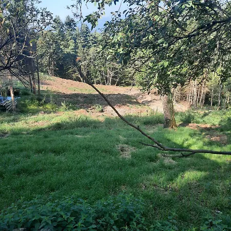 Cascinamirta