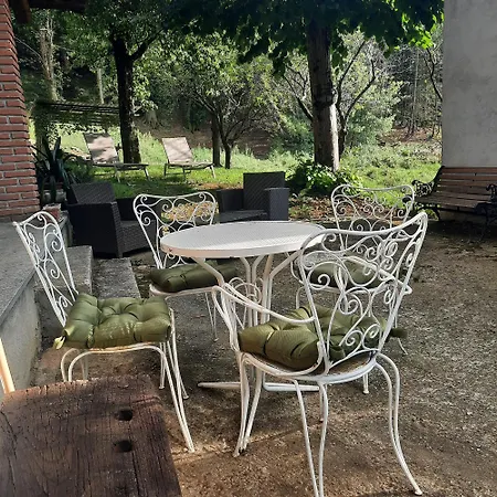 Cascinamirta *