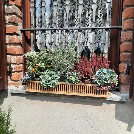 Cascinamirta Дом отдыха Andorno Micca