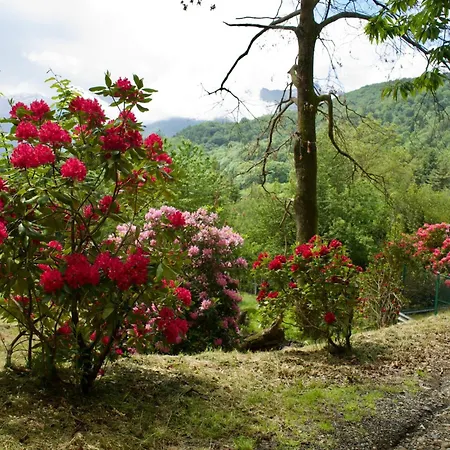 Cascinamirta Vakantiehuis *