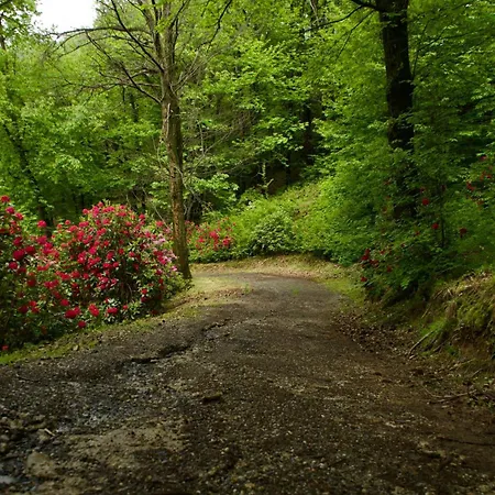 Дом отдыха Cascinamirta