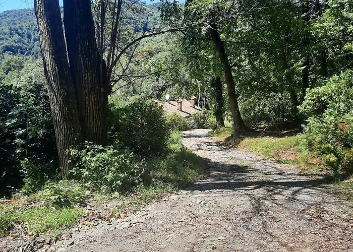 Cascinamirta Andorno Micca